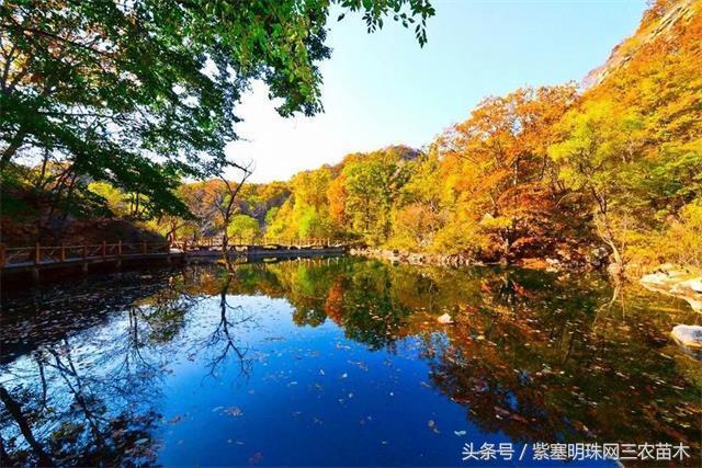梨木台风景区顺缘农家院,天津蓟县梨木台顺鑫缘农家院