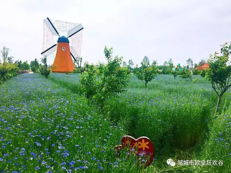欧皇狂欢谷景区在邹城哪里,邹城市青少年夏令营