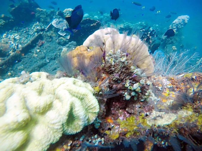 宸村帢宀涘浘鍏板娼滄按浜嬩欢,宸村帢宀涘浘鍏板娼滄按鏀荤暐