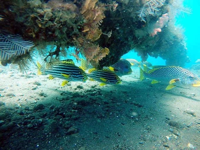 宸村帢宀涘浘鍏板娼滄按浜嬩欢,宸村帢宀涘浘鍏板娼滄按鏀荤暐