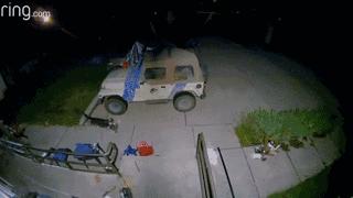 遛狗不牵绳那就别遛狗,铲屎官遛狗牵绳