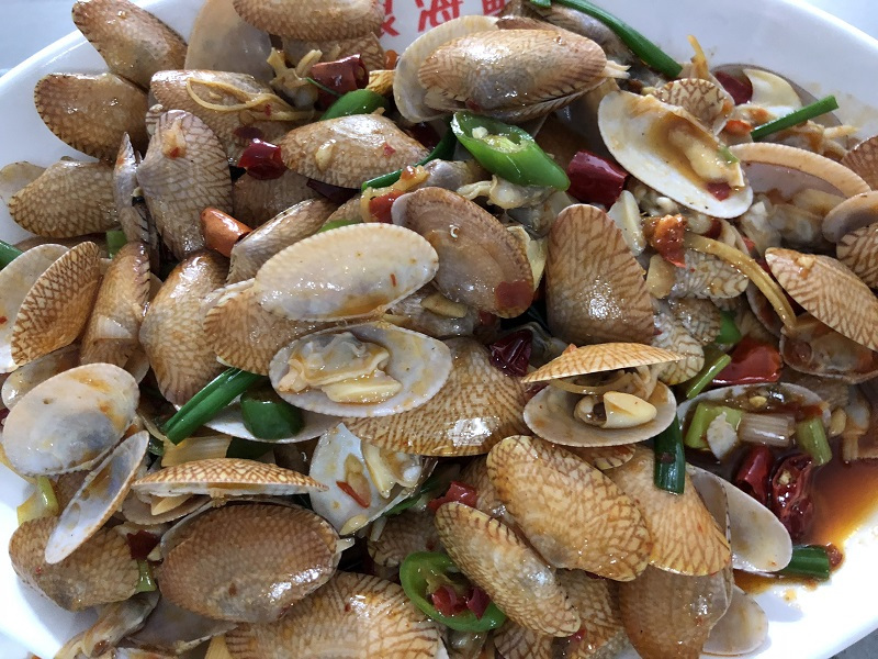 独自去海南旅游,优优去三亚旅行