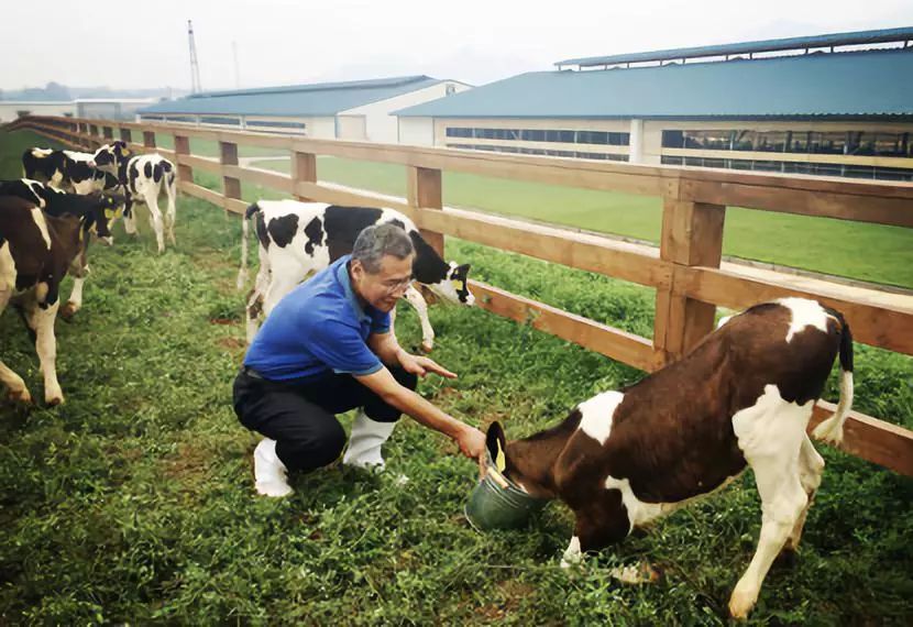 中国奶粉能做出世界大牌吗？