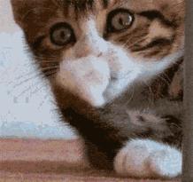 零基础学音乐要花多少钱,学音乐真的很费钱吗