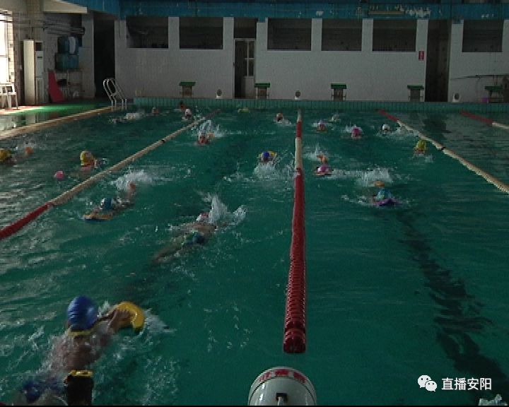 有福啦！安阳将新增几家游泳馆两个人防工程纳凉点今夏免费开放