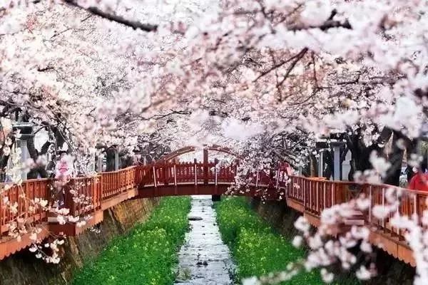 「运城扩散」运城人护照又升值了！69个免签地说走就走不是梦！