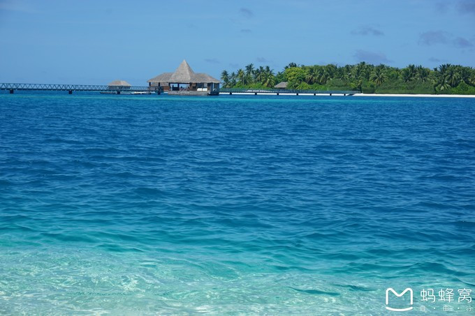 马尔代夫蝴蝶岛,马尔代夫港丽岛属于几星岛