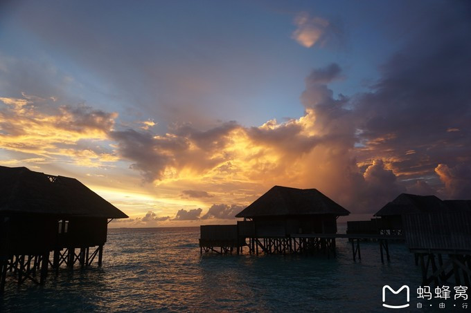 马尔代夫蝴蝶岛,马尔代夫港丽岛属于几星岛