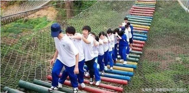 梨木台古树农家院,蓟县梨木台兴业缘农家院