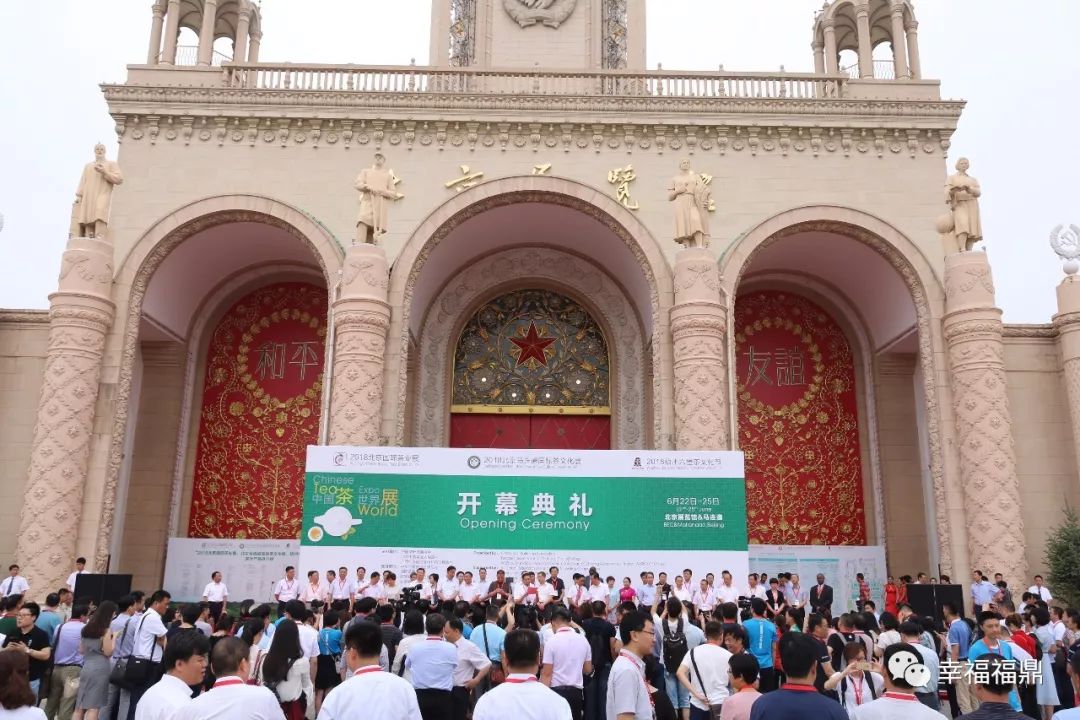 福鼎白茶进京“赶考”，好评如潮，香飘“一带一路”