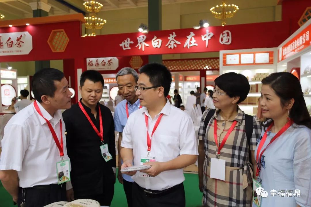 福鼎白茶进京“赶考”，好评如潮，香飘“一带一路”