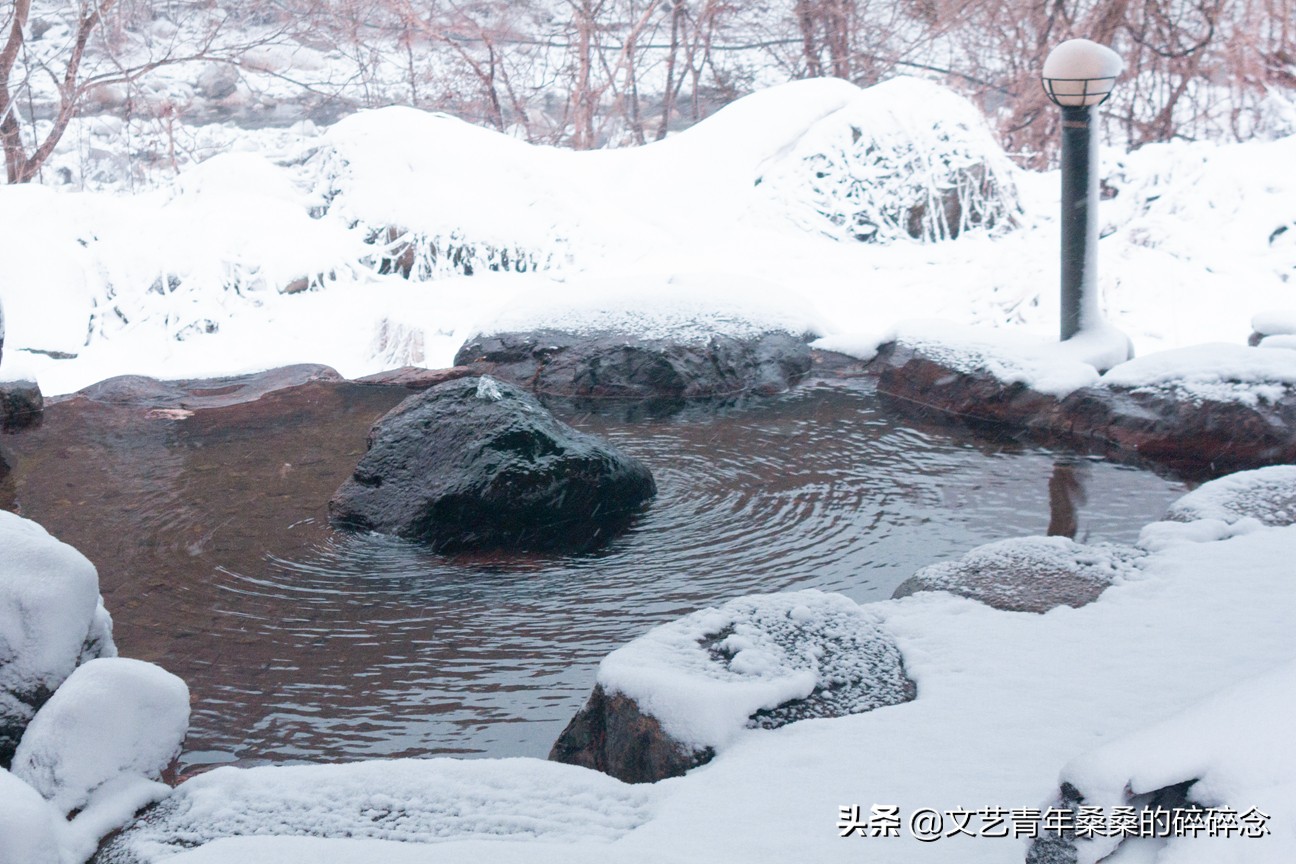 冬季日本的自驾游攻略,冬日游日本名古屋攻略
