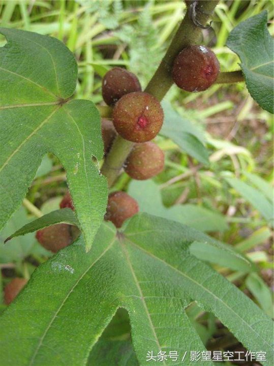 奶香味十足的牛奶,奶香味十足的牛奶有哪些