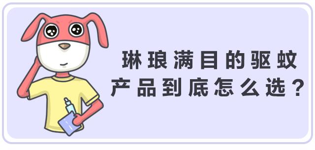 鍚歌铓婂瓙婕敾,鍏充簬铓婂瓙婕敾