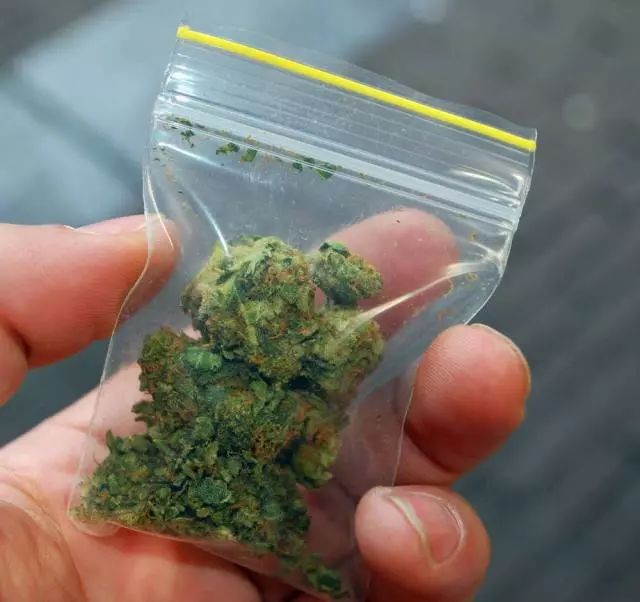 626禁毒宣传日活动启动会议议程,626国际禁毒日多措并举精准禁毒