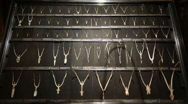 侏罗纪恐龙模型霸王龙,霸王龙恐龙骨架模型可变换原型