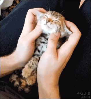 张雨绮刮痧瘦脸方法视频,张雨绮脸在哪做的超声刀