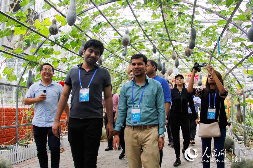 广西五彩田园现代特色农业示范区,广西现代农业技术