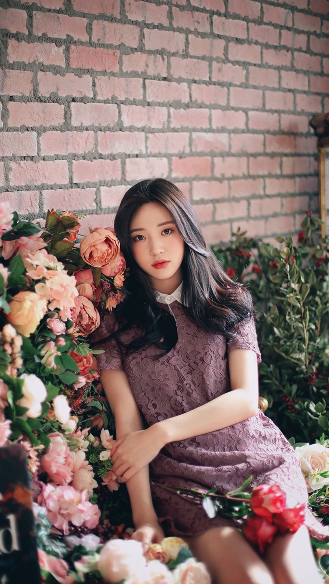 hd高清壁纸大全,hd高清壁纸