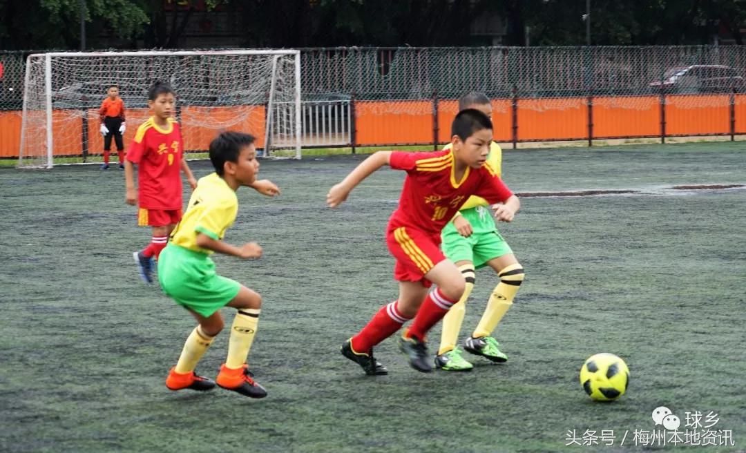 足协中国足球喜讯,中国足协梅州青训总监