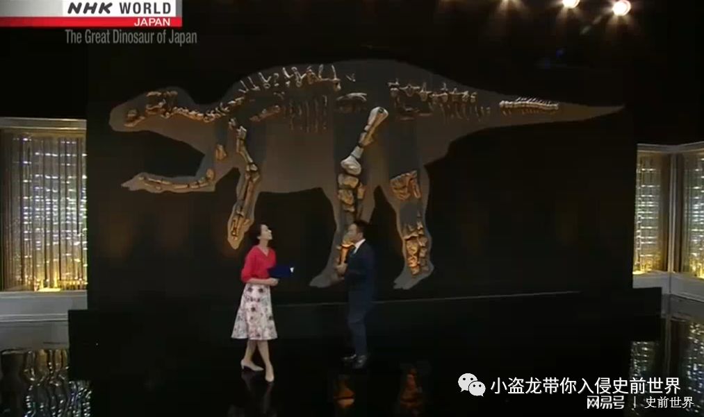 在日本发现的恐龙化石,史上最完好的恐龙化石