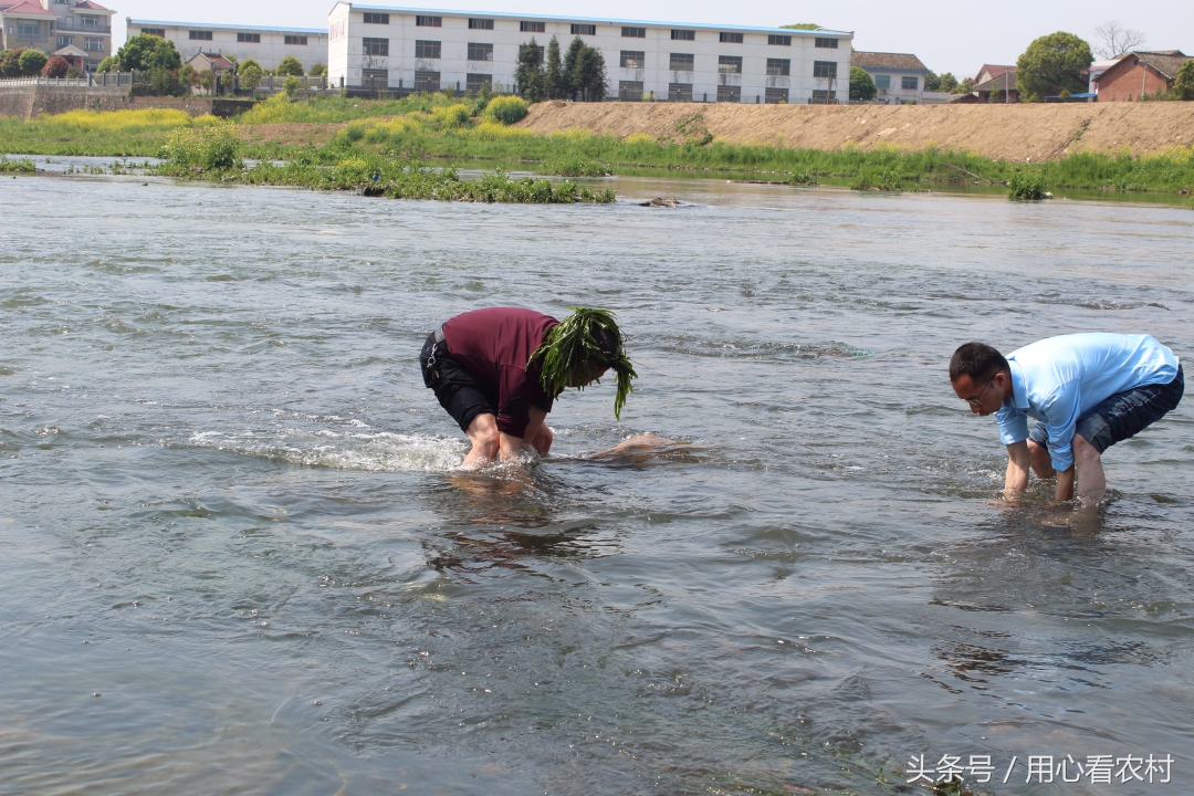 高手在民间弹珠赛道,高手在民间砸场子