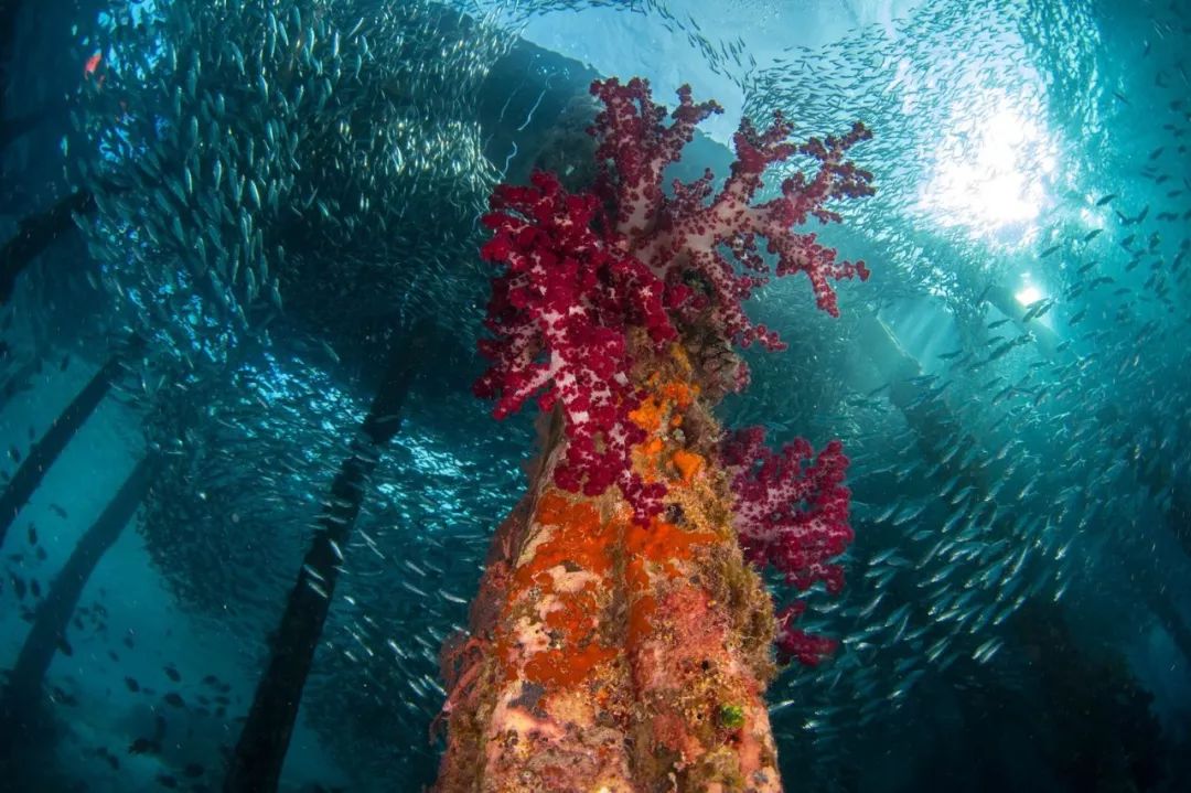 上半年大片推荐,2018旅行大片