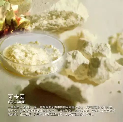 这东西可碰不得，今天太仓为此还成立了专门的队伍