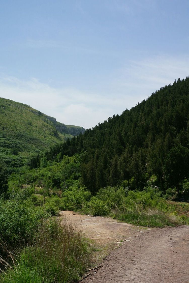 天晴湾风景区,淄川天晴湾