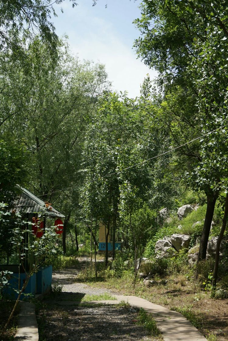 天晴湾风景区,淄川天晴湾