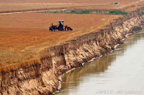 中国第一米原产地原阳大米,中国好大米品牌