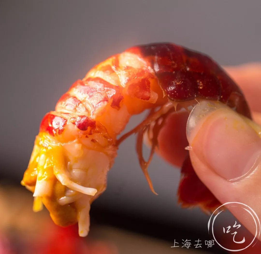 魔都人均100就能吃到的食物,魔都人均不到二百的海鲜大闸蟹