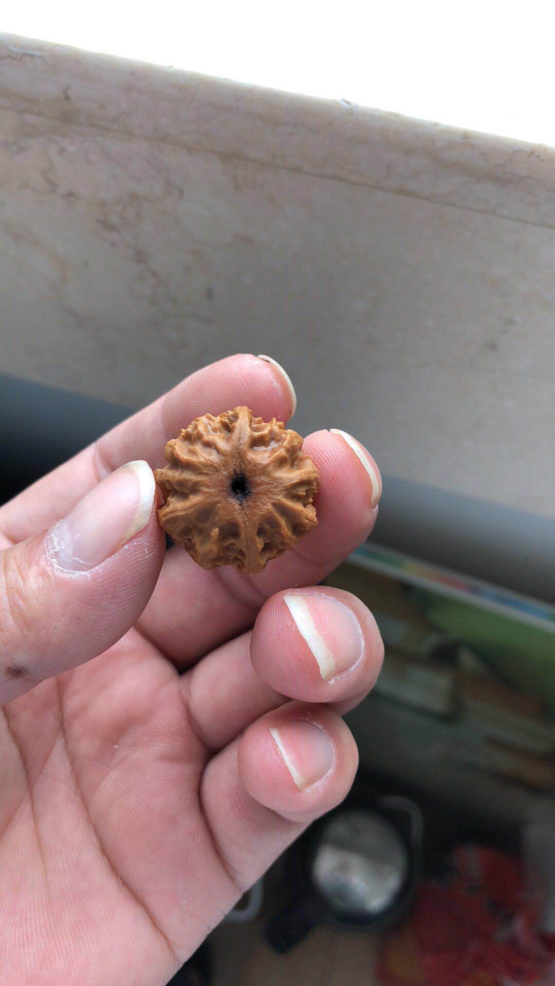 文玩市场淘鬼脸小核桃手串,十棱文玩小核桃手串哪产的