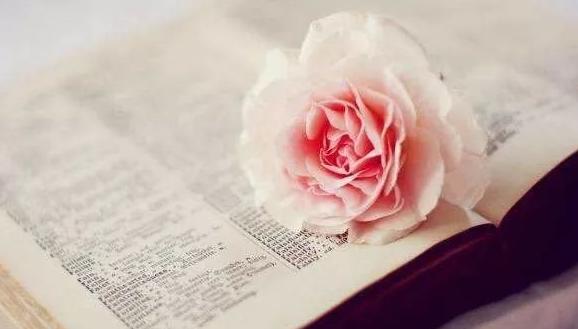 微信公众号投票互投,微信投票千人互投教程