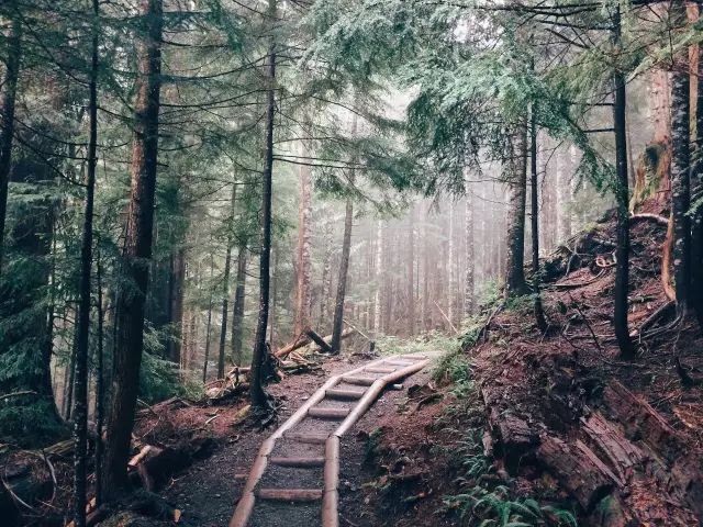 跑者如何穿搭,越野跑初跑者装备全套推荐