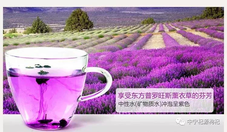 黑枸杞更好还是红枸杞更好,黑枸杞与枸杞功效对比