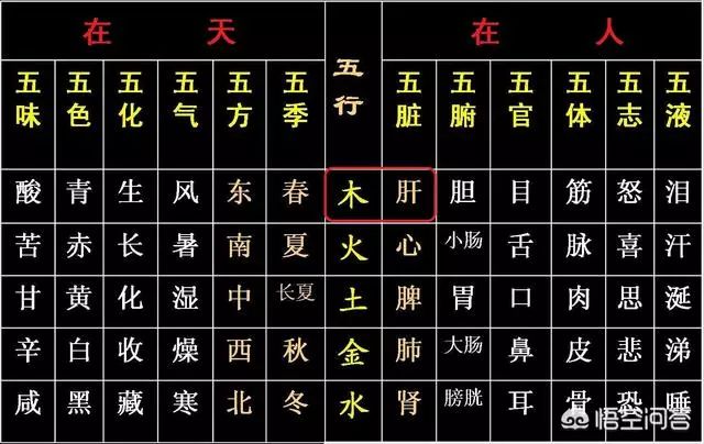 肝炎需要泻肝还是补气血,中医谈吃醋过多后果