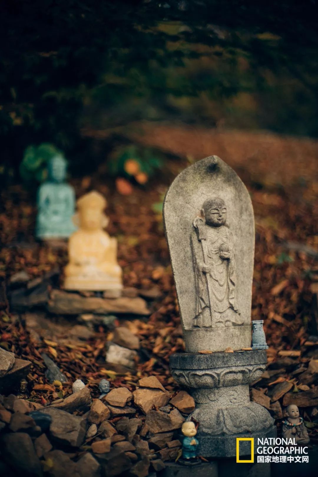 韩国足球的犯规艺术,韩国踢足球犯规现场