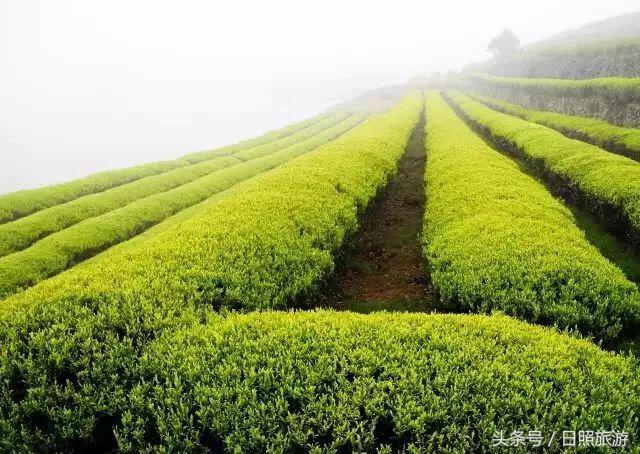 热！进入铁板烧模式，这个“锦囊”里藏着日照25°的夏天！