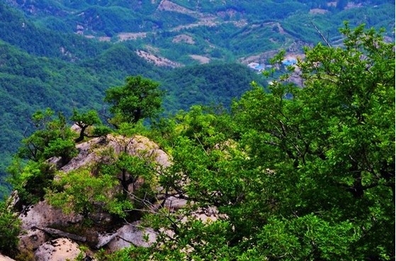 这里有十里亲水画廊,在海拔1400米的地方看世界杯,赏流泉飞瀑