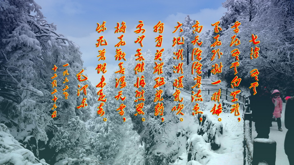 毛*东泽**诗词——诗词尽显独特的气质