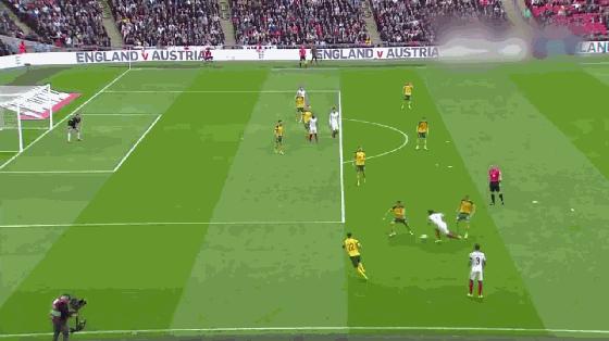 世界杯足球场草皮是真是假,为什么足球场草坪颜色不一样