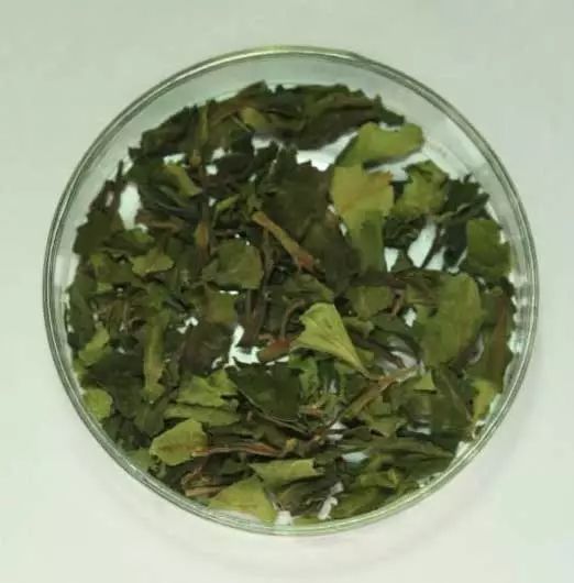 禁毒别让毒品吞噬你的青春,禁毒背影