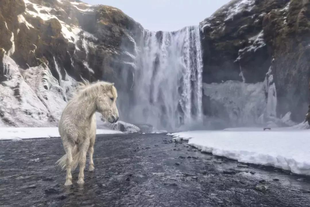 上半年大片,上半年大片推荐