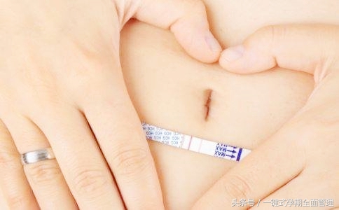 国外最新验孕工具,最好用的验孕试纸