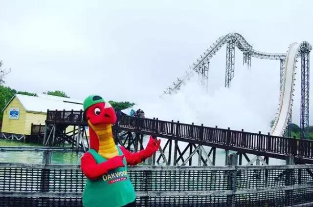 去英国十天,去英国倒计时