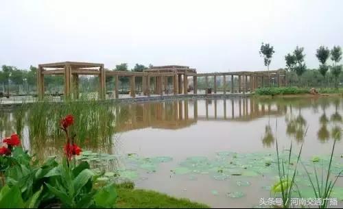 郑州哪里可以入夏赏荷,郑州最佳赏荷地来了
