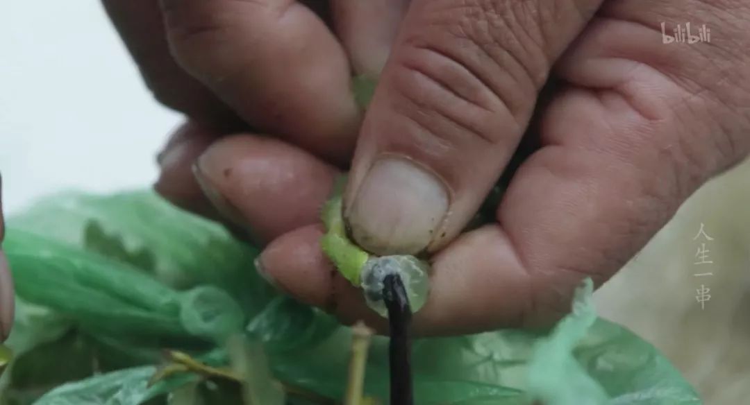 深夜食堂烧烤摊,这才是深夜食堂