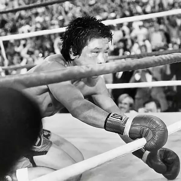 韩国踢球脏动作,韩国疯狗