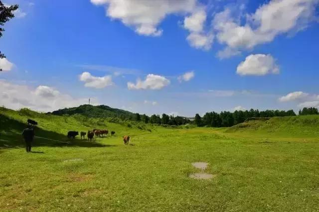 下一站湘府路站,下一站湖南